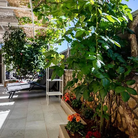 Pansion Tina Apartment